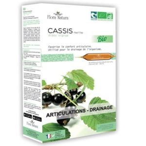 Flora Natura - Cassis - 20 ampoules